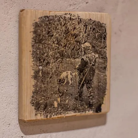 Truffle House Tuscany Tuber Melanosporum Vitt Apartment *