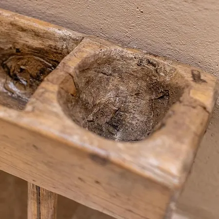 Truffle House Tuscany Tuber Melanosporum Vitt Apartment